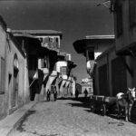 Şinasi BARUTÇU